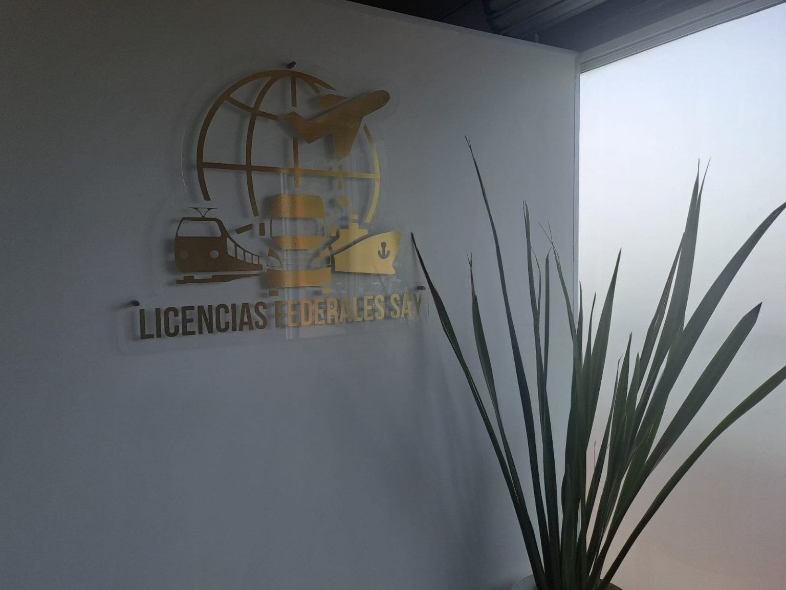 Logotipo de Licencias Federales SAY en oficina